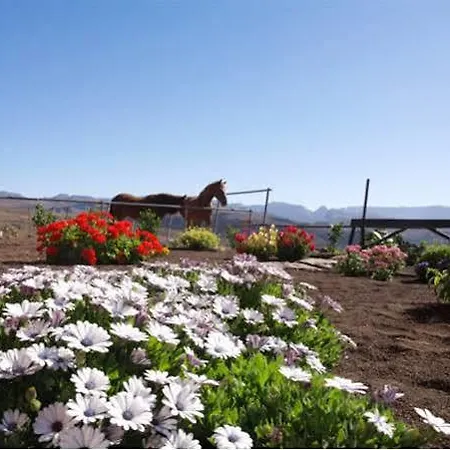Casa di campagna The Black Horse Canarias - Adults Only *