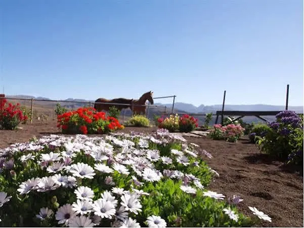 Летний дом The Black Horse Canarias - Adults Only *